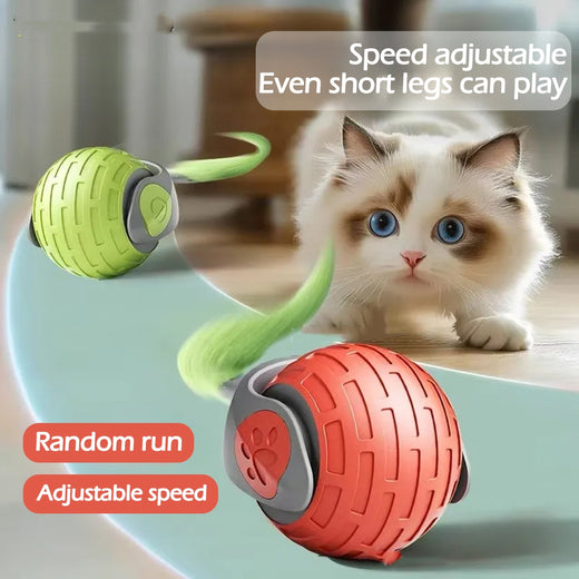Interactive Auto Electric Rolling Ball USB Rechargeable