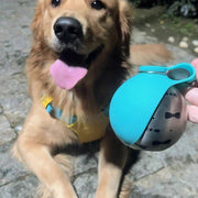 Foldable Portable Water Dispenser