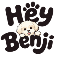 Hey Benji
